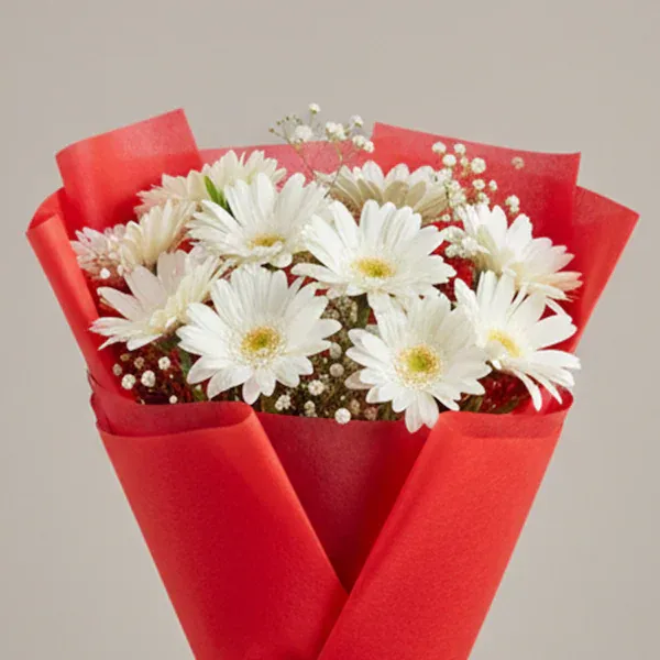 10 white gerbera flowers bouquet 10 white gerbera flowers bouquet