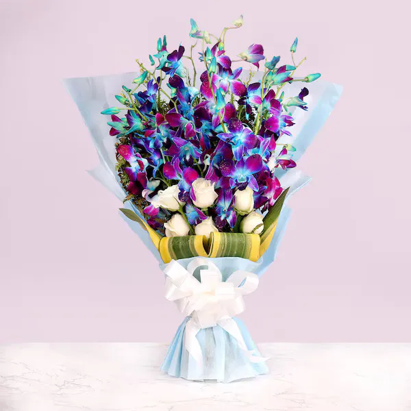 love and emotions orchid love and emotions orchid