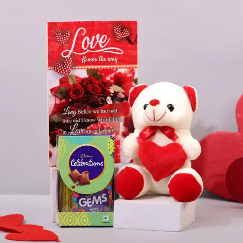 celebrations bundle of surprise with teddy