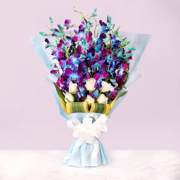 love and emotions orchid love and emotions orchid