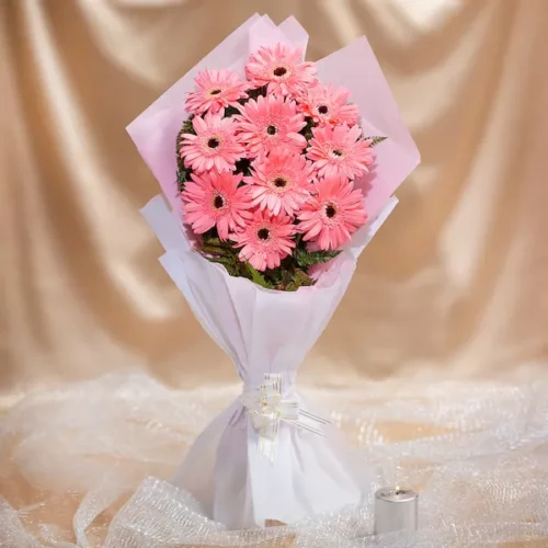 lovey dovey light pink gerbera
