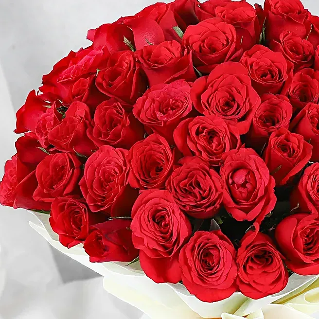 majestic 50 red roses bouquet majestic 50 red roses bouquet