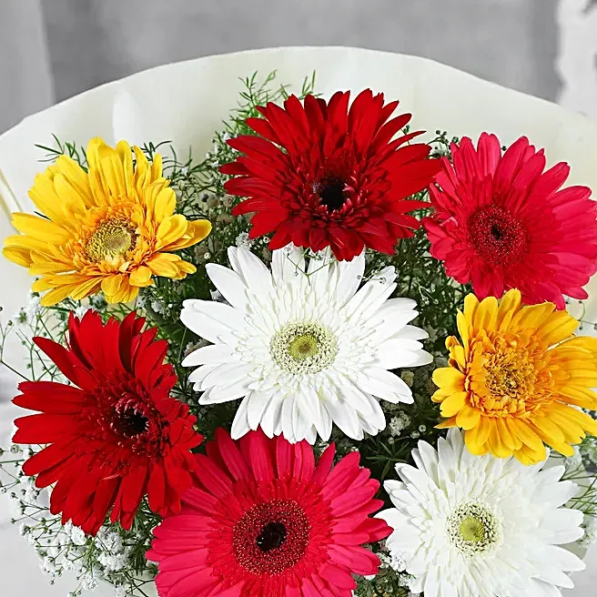 mixed brilliance gerbera flower bouquet mixed brilliance gerbera flower bouquet